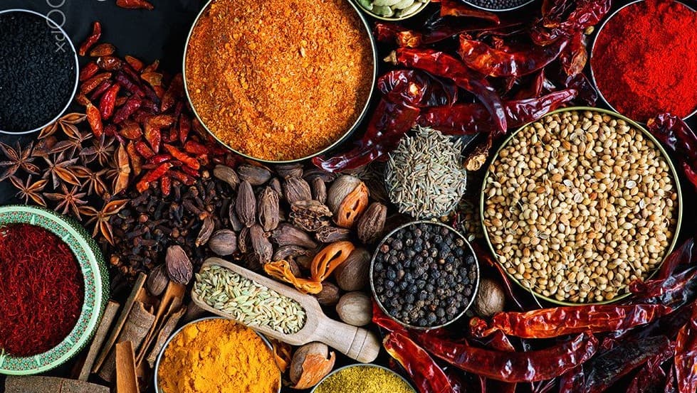 A stylized map of a city, focusing on the New York area.